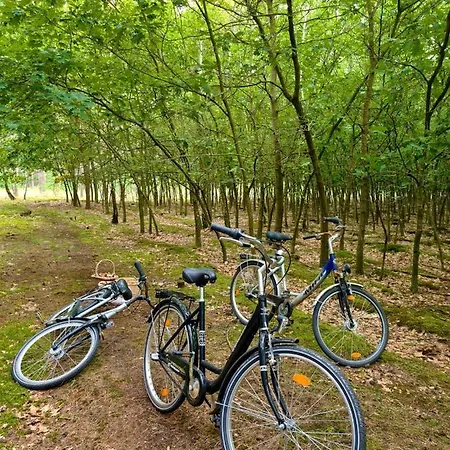 Ferienbungalows Am Altfriesack