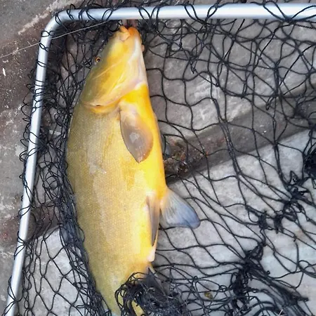 Apartment Ferienbungalows Am *