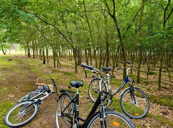 Ferienbungalows Am Altfriesack