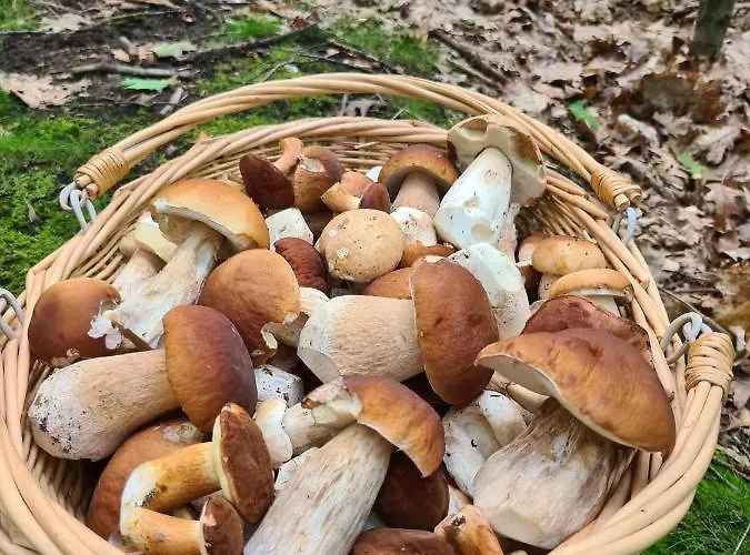 Daire Ferienbungalows Am *