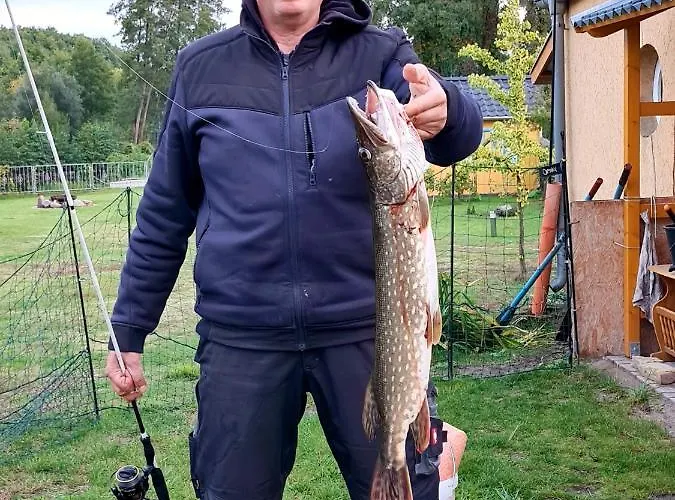 Ferienbungalows Am * Altfriesack