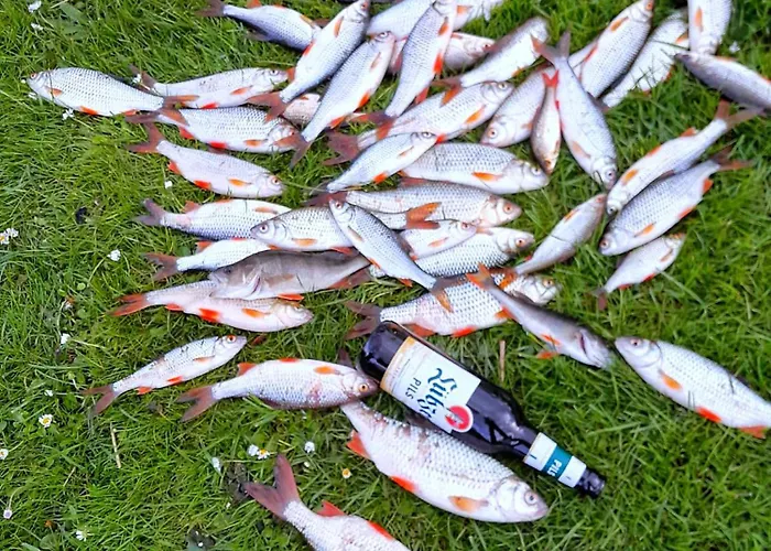 Ferienbungalows Am Διαμέρισμα