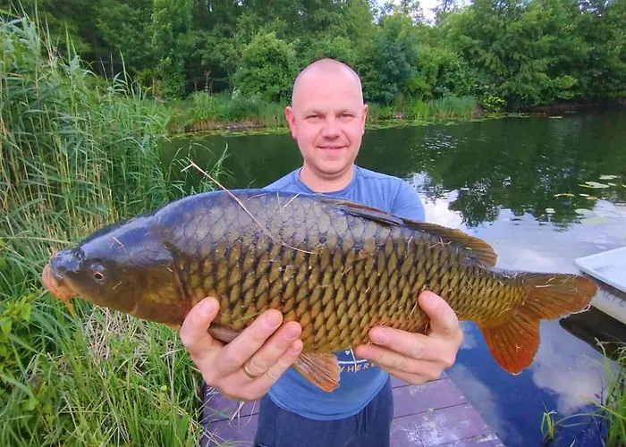 Ferienbungalows Am Appartement Altfriesack